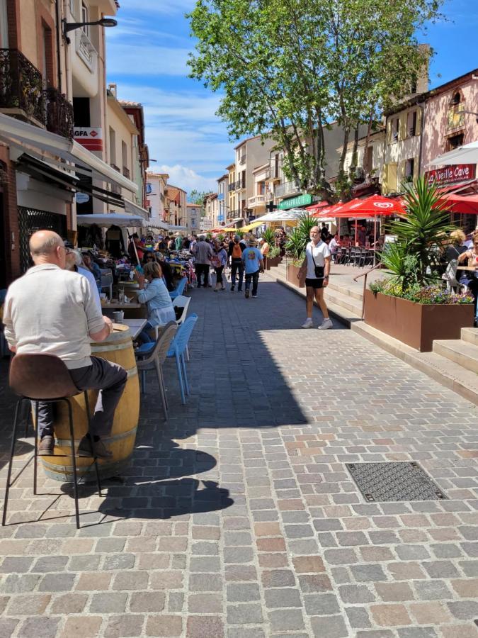 Bienvenue Dans Le Roussillon Daire Argelès-sur-Mer Dış mekan fotoğraf
