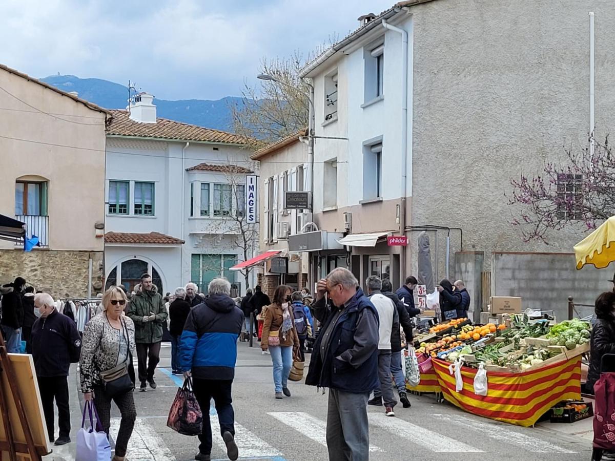 Bienvenue Dans Le Roussillon Daire Argelès-sur-Mer Dış mekan fotoğraf